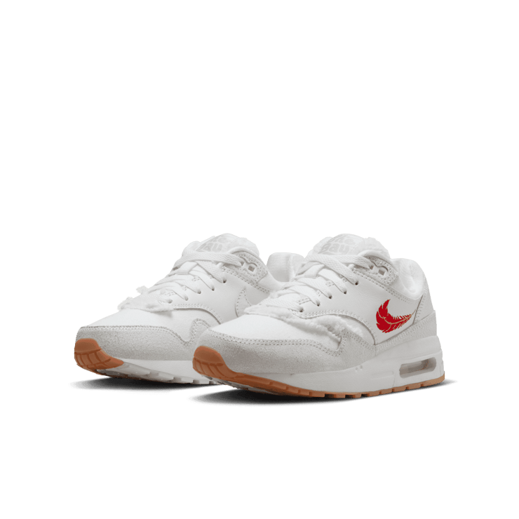 Nike Air Max 1 Premium SF The Bay (GS) Angle 2