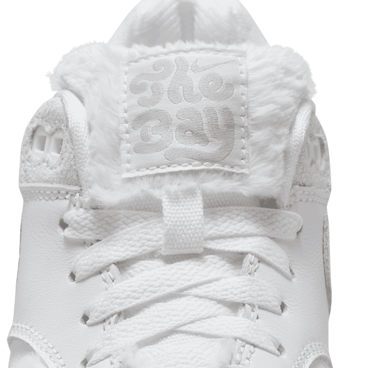 Nike Air Max 1 Premium SF The Bay (GS) Angle 6