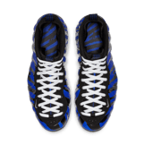 Nike Air Foamposite One Memphis Tigers Angle 1