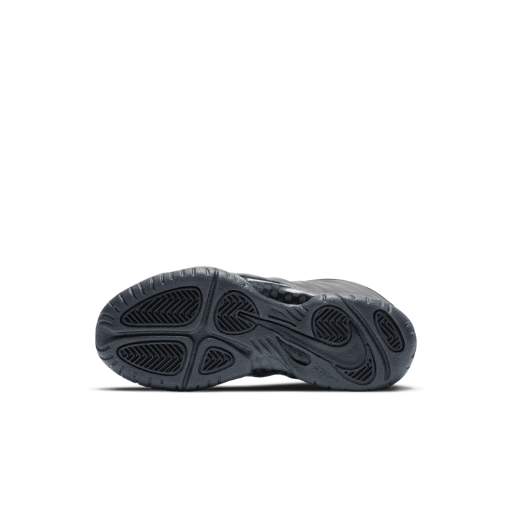 Nike Air Foamposite One Anthracite (2020) (PS) Angle 0