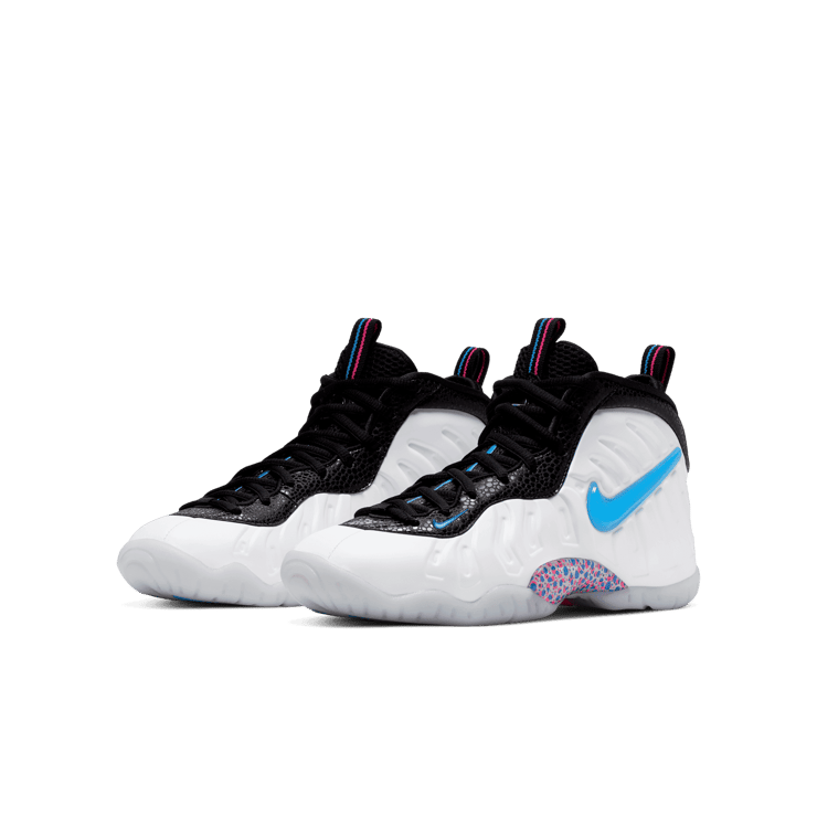 Nike Air Foamposite Pro 3D (GS) Angle 2