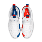 Nike Air Foamposite One USA (W) Angle 1