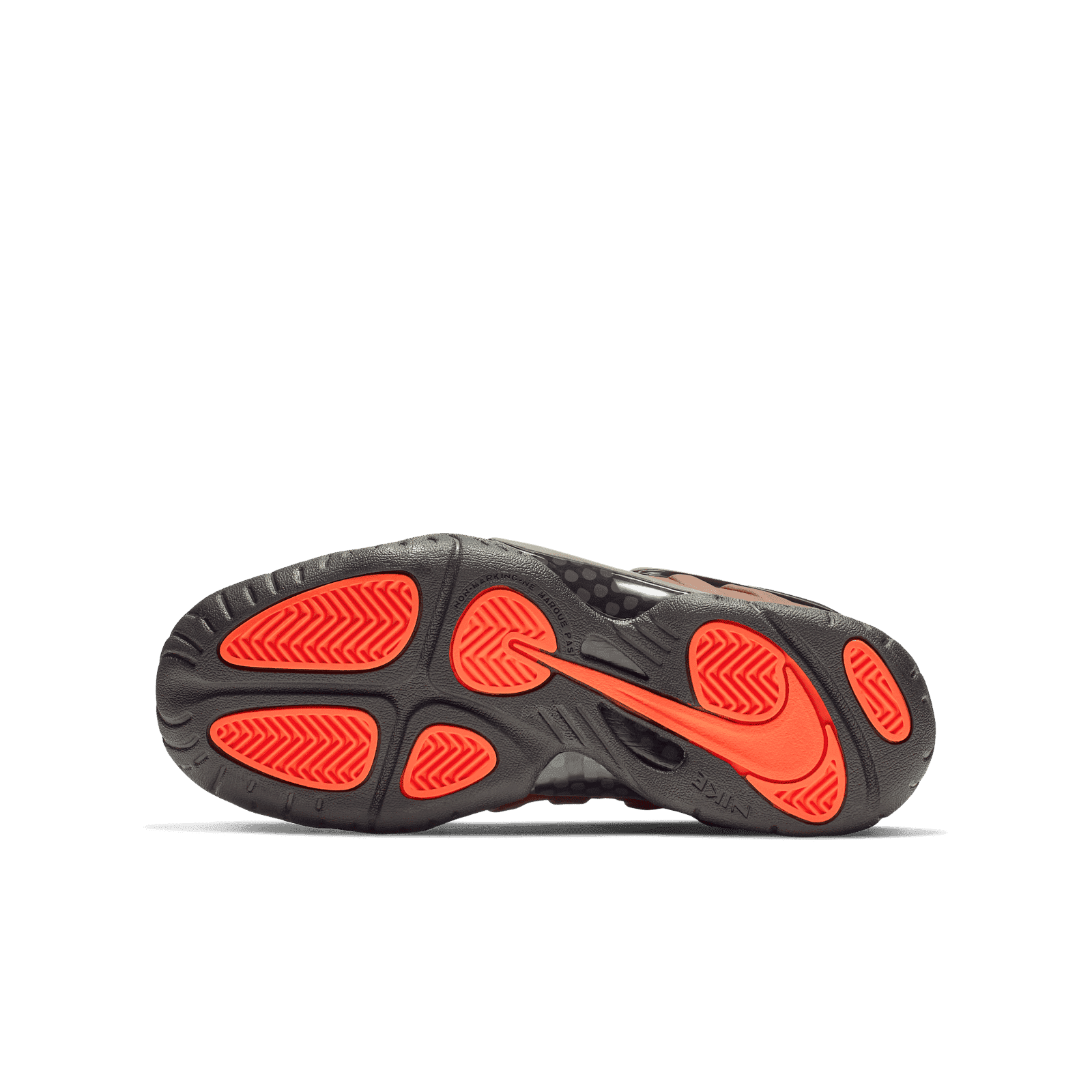Nike Air Foamposite Pro Color Shift GS 644792 800
