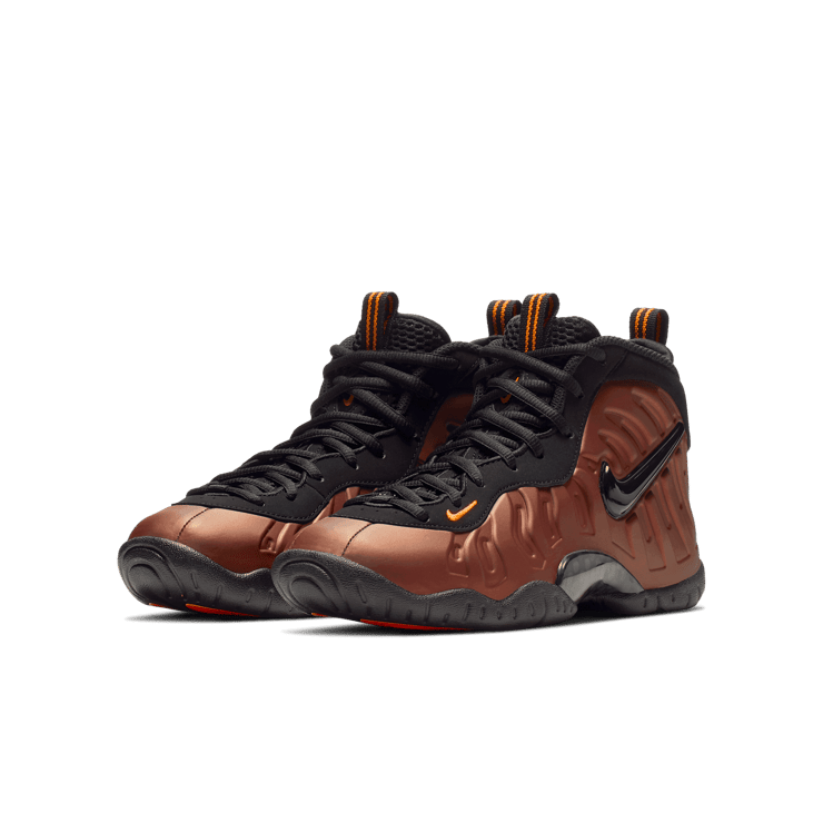 Nike Air Foamposite Pro Color Shift (GS) Angle 2
