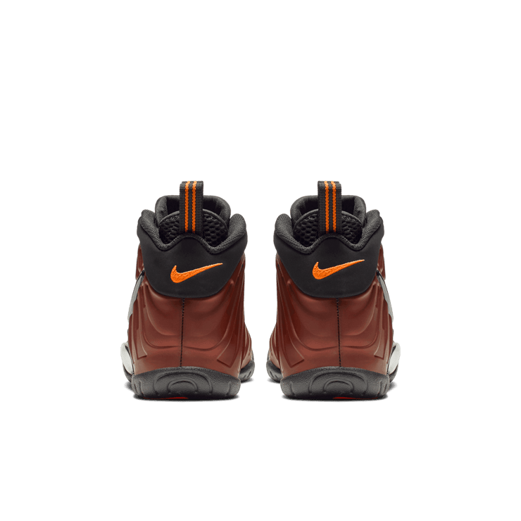 Nike Air Foamposite Pro Color Shift (GS) Angle 3