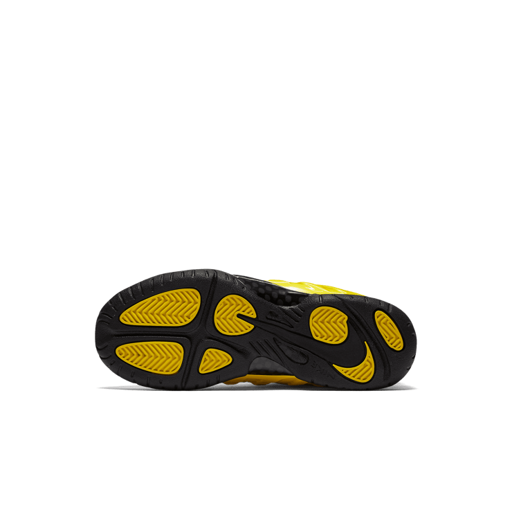 Nike Air Foamposite One Wu-Tang (PS) Angle 0