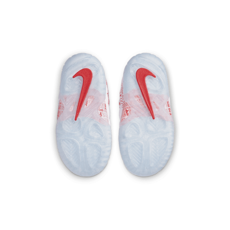 Nike Air Foamposite One Takeout Bag (TD) Angle 0