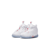 Nike Air Foamposite One Takeout Bag (TD) Angle 2