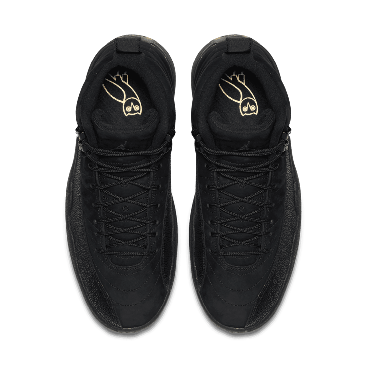 Air Jordan 12 Retro OVO Black Angle 1
