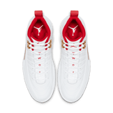 Air Jordan 12 Retro FIBA (2019) Angle 1