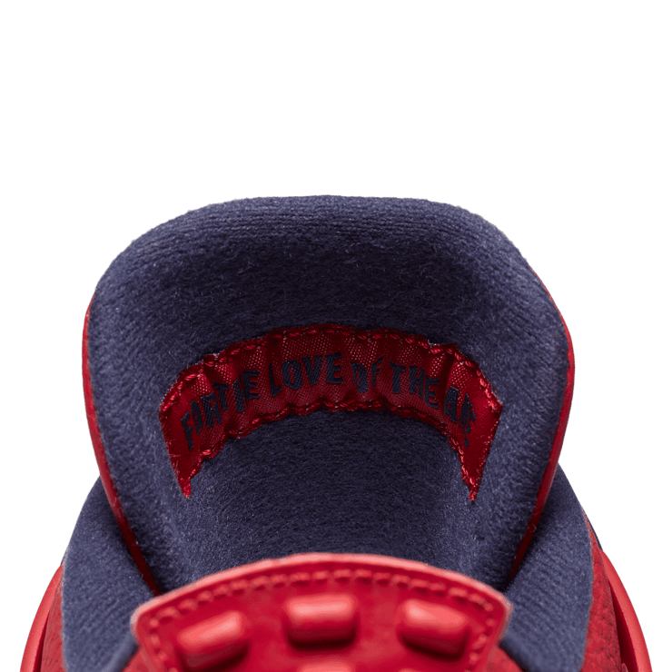 Air Jordan 4 Retro FIBA (2019) Angle 4