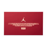 Air Jordan 4 Retro Levi's Denim (Tag with Levi's Logo) Angle 6