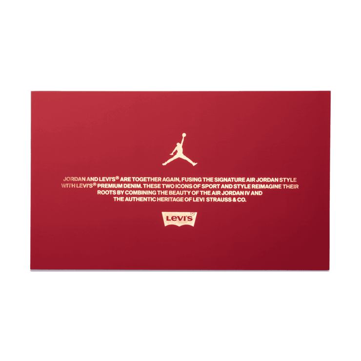 Air Jordan 4 Retro Levi's Denim (Tag with Levi's Logo) Angle 6