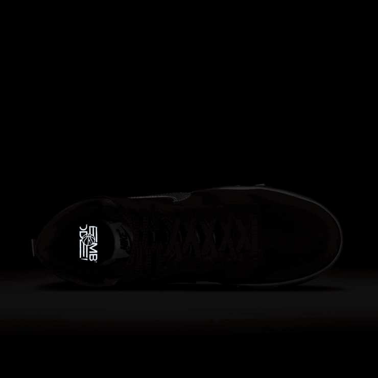 Nike Dunk High x NBA x WNBA EMB (W) Angle 6