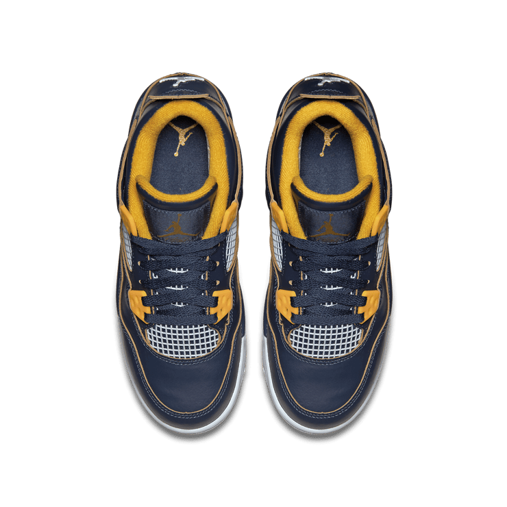 Air Jordan 4 Retro Dunk From Above (GS) Angle 1
