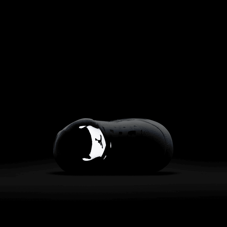 Air Jordan 5 Retro White Stealth (2021) (TD) Angle 5