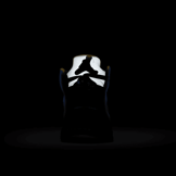 Air Jordan 5 Retro Laney Varsity Royal (GS) Angle 4