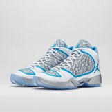 Air Jordan XX9 Pantone Angle 2