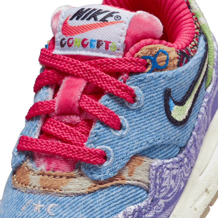 Nike Air Max 1 SP Concepts Far Out (TD) Angle 5