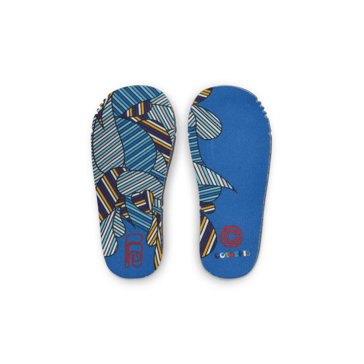 Nike Air Max 1 SP Concepts Far Out (TD) Angle 6