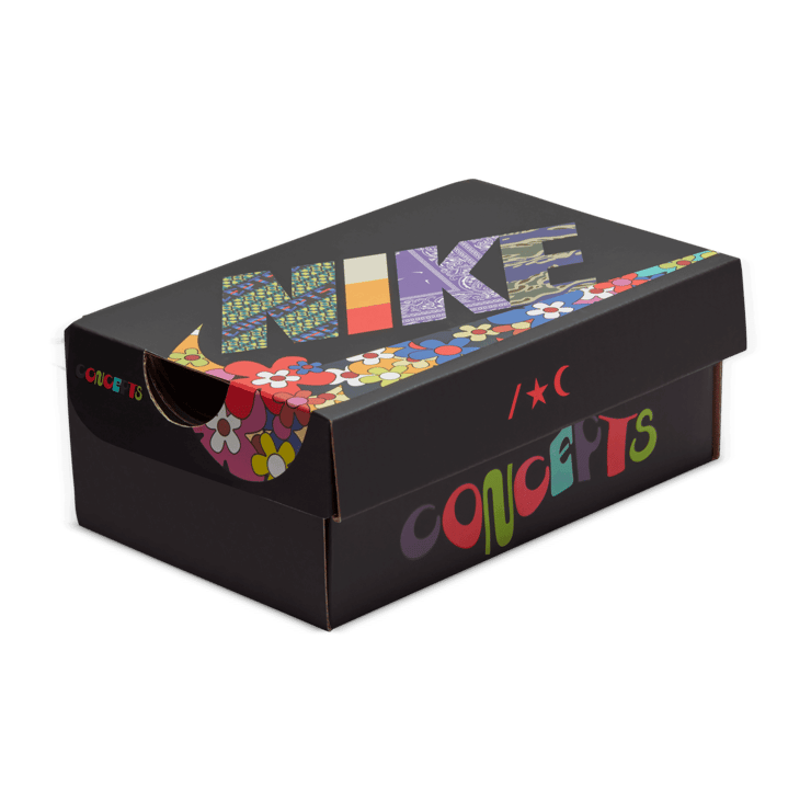 Nike Air Max 1 SP Concepts Far Out (TD) Angle 7