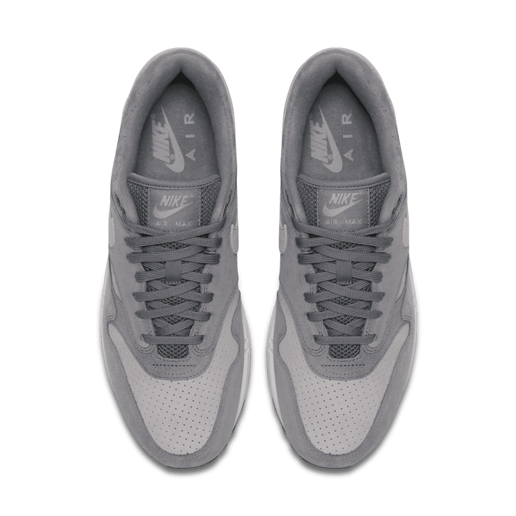 Nike Air Max 1 Cool Grey Wolf Grey Angle 1