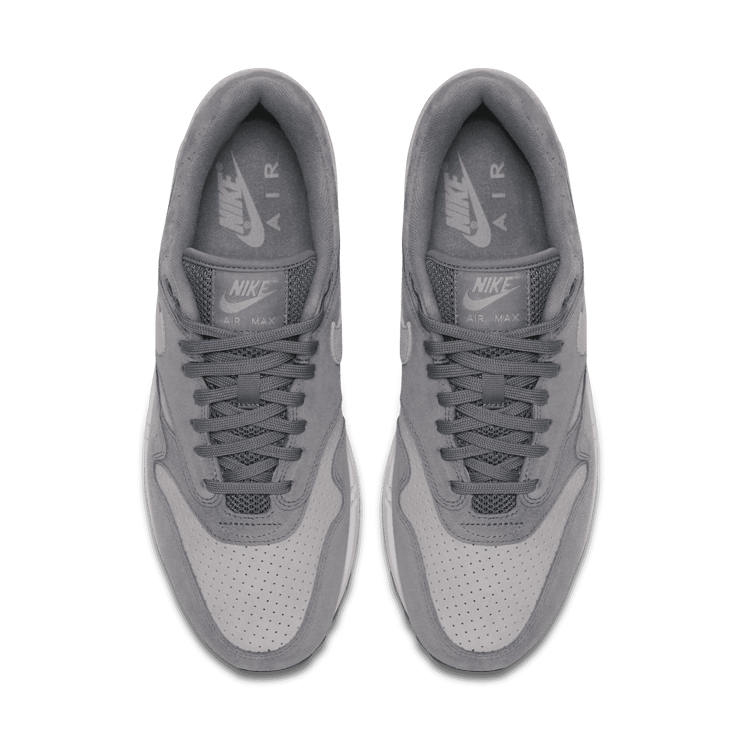 Nike Air Max 1 Cool Grey Wolf Grey Angle 1