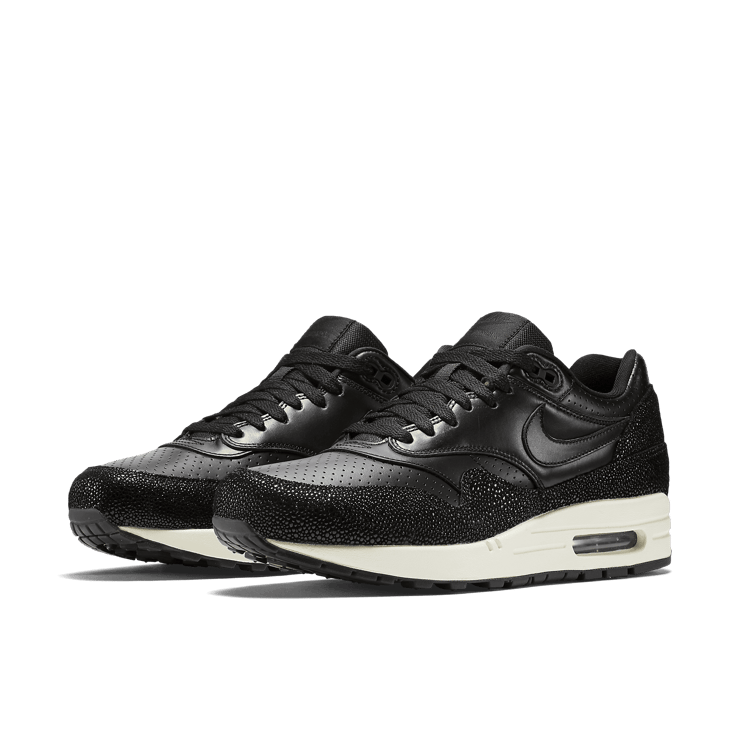 Nike Air Max 1 Stingray Pack Angle 2