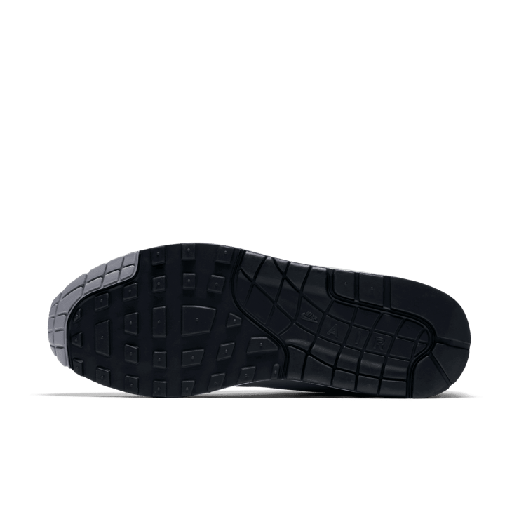 Nike Air Max 1 Wolf Grey Dark Grey Angle 0