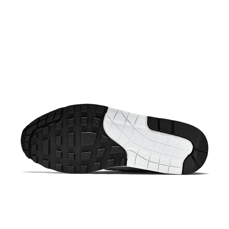 Nike Air Max 1 Canvas White Black Picnic Pack Angle 0