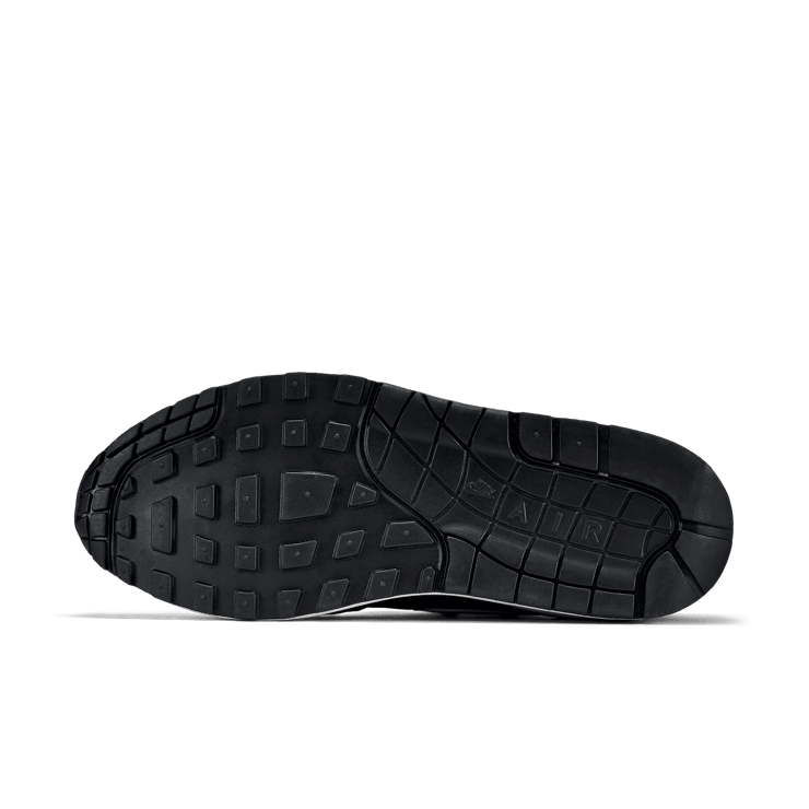 Nike Air Max 1 Aloha Black (W) Angle 0