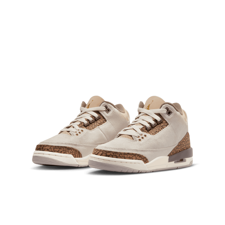 Air Jordan 3 Retro Light Orewood Brown (GS) Angle 2