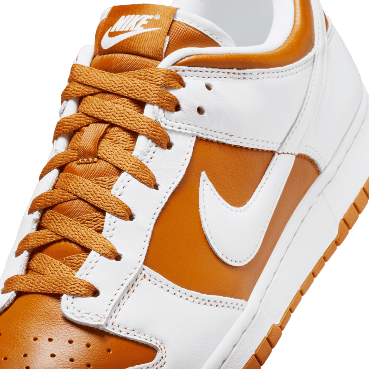 Nike Dunk Low Reverse Curry (2024) Angle 4