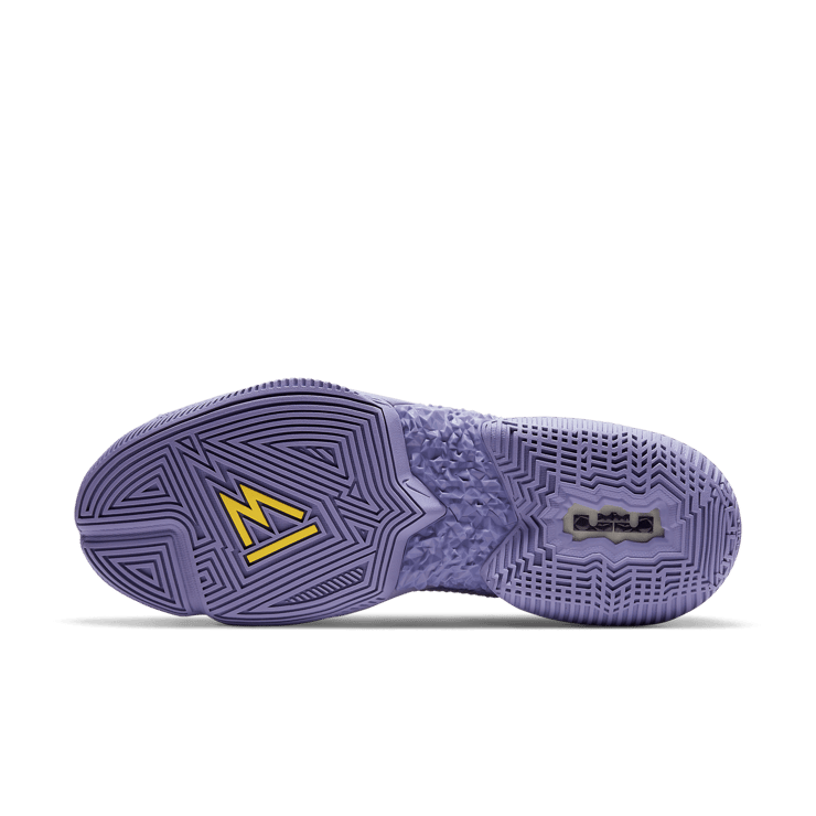 Nike LeBron Ambassador 13 Lakers Angle 0