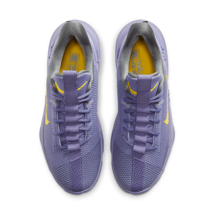 Nike LeBron Ambassador 13 Lakers Angle 1