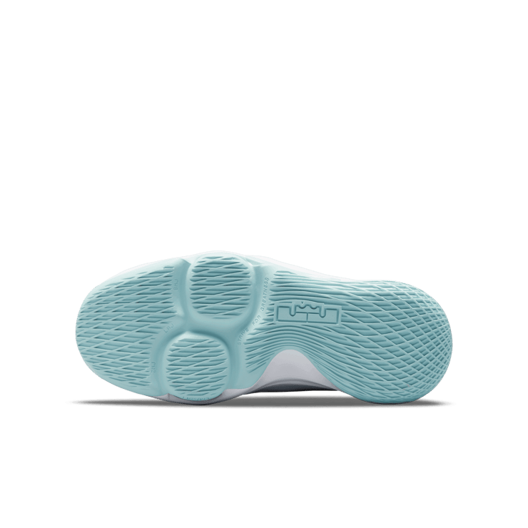 Nike LeBron Witness Pure Platinum Light Dew (GS) CT4629-006
