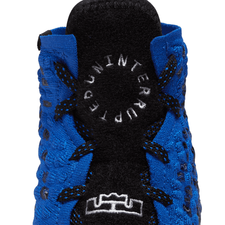 Nike LeBron 17 More Than An Athlete (GS) Angle 5