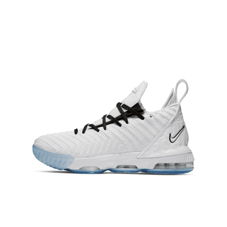 Nike LeBron 16 Equality (2019) (GS) Angle 2