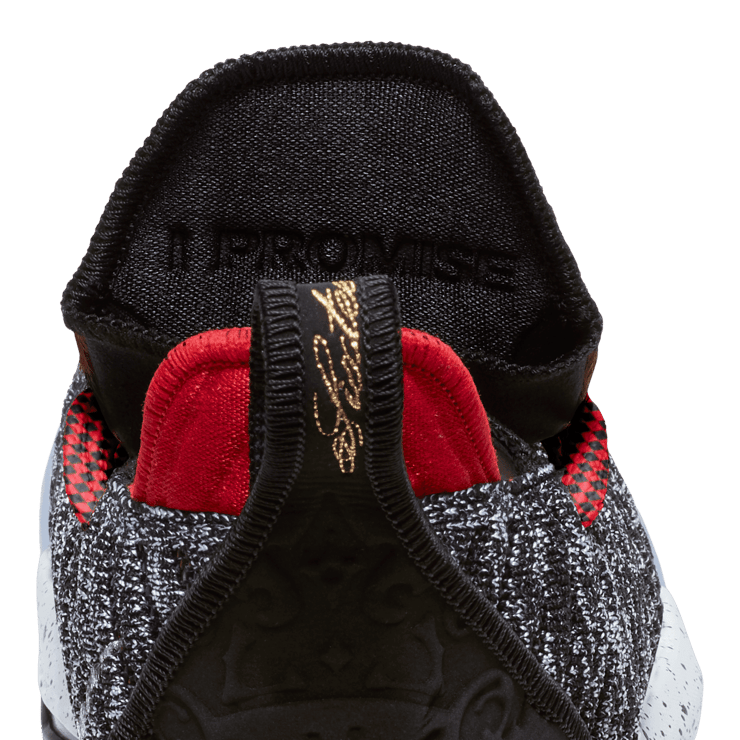 Nike LeBron 16 1 Thru 5 (What The) (Special 2K19 Box) Angle 7