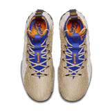 Nike LeBron 15 Mowabb Angle 1