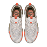 Nike LeBron 13 Low Phantom Angle 1