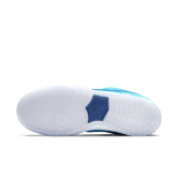 Nike SB Dunk Low Pro Blue Fury Angle 0