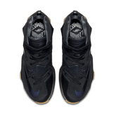 Nike LeBron 13 Black Lion Angle 1