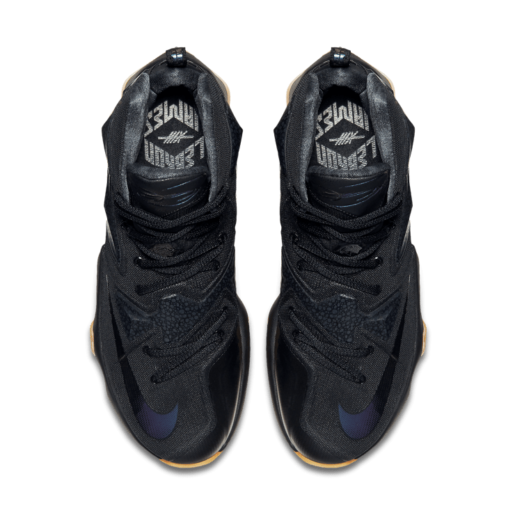 Nike LeBron 13 Black Lion Angle 1