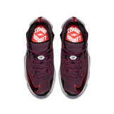 Nike LeBron 13 Written In the Stars (GS) Angle 1