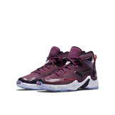 Nike LeBron 13 Written In the Stars (GS) Angle 2