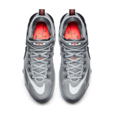 Nike LeBron 12 Low Earned Angle 1