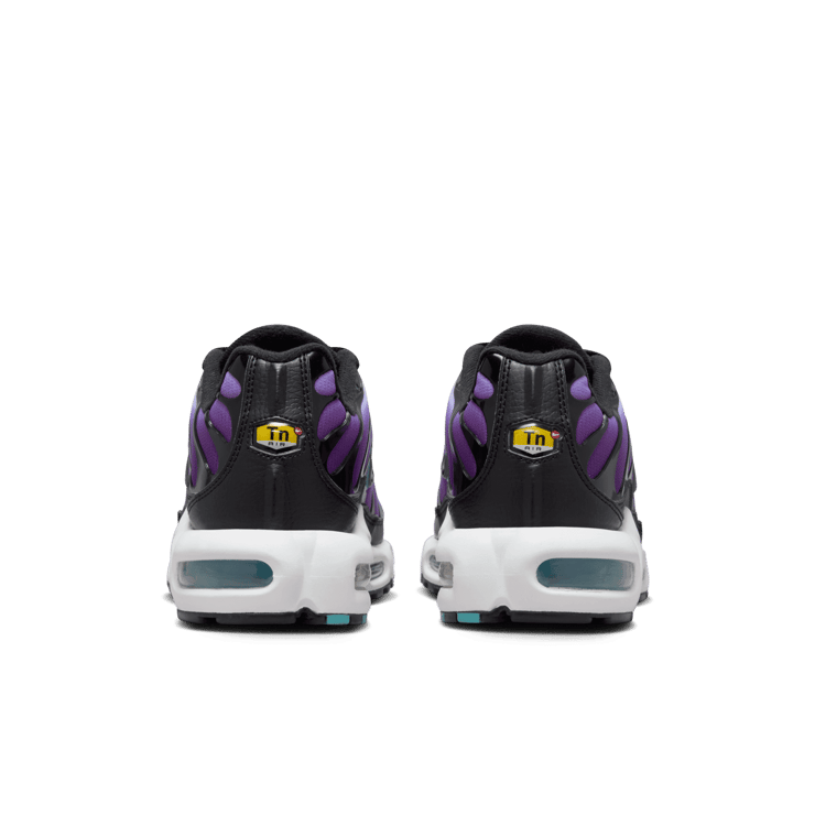 Nike Air Max Plus Disco Purple Teal Nebula FQ2415-500