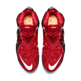 Nike LeBron 12 Elite Team Angle 1