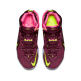 Nike LeBron 12 Double Helix Angle 1